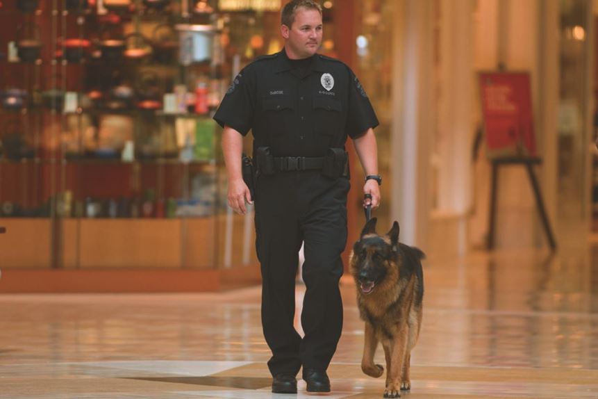 Security Officer and Security Dog in Mall