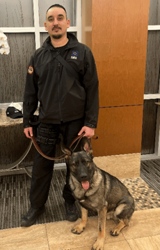 A man in a security officer uniform holding the leash of a German Shephard dog