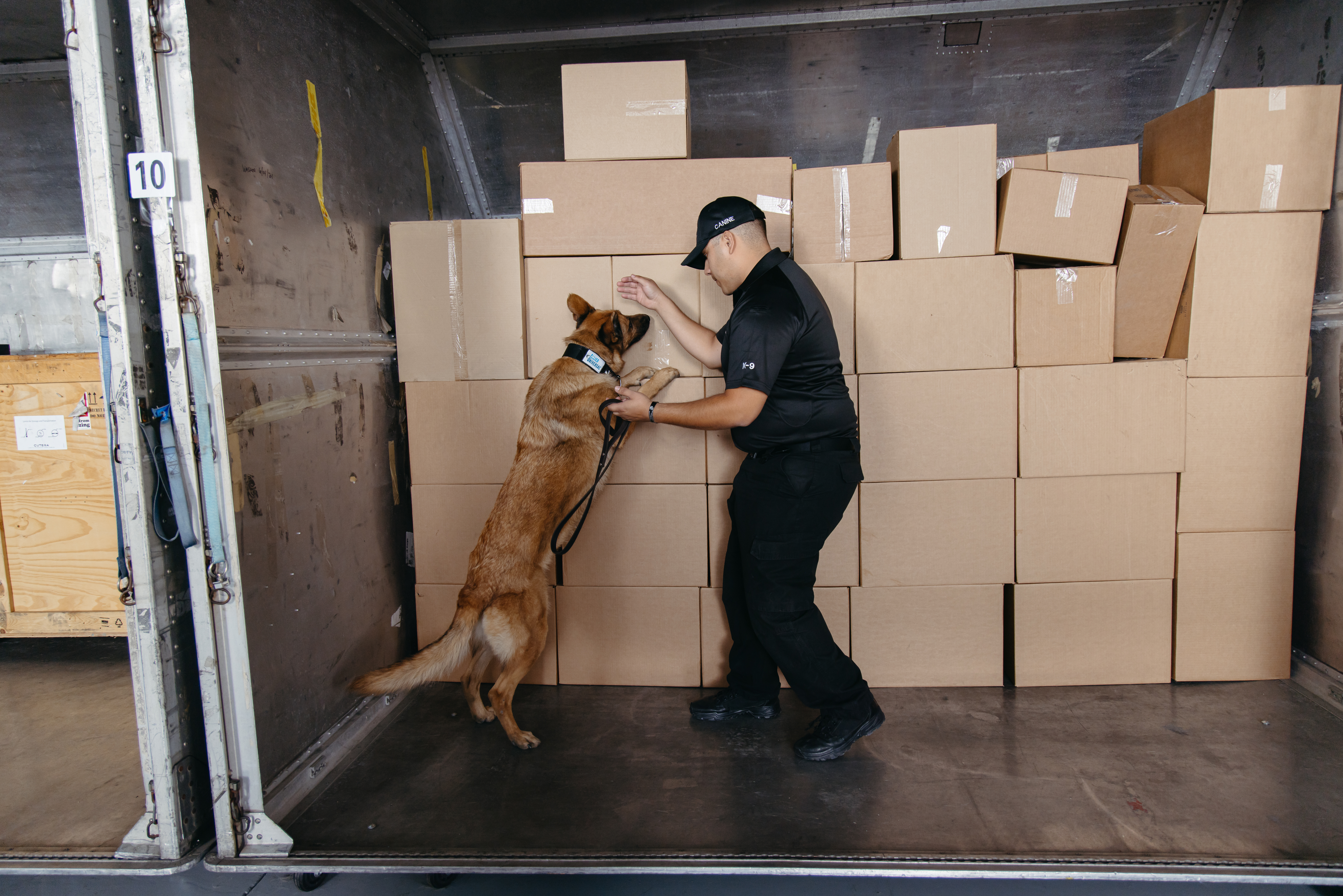 Canine with a handler