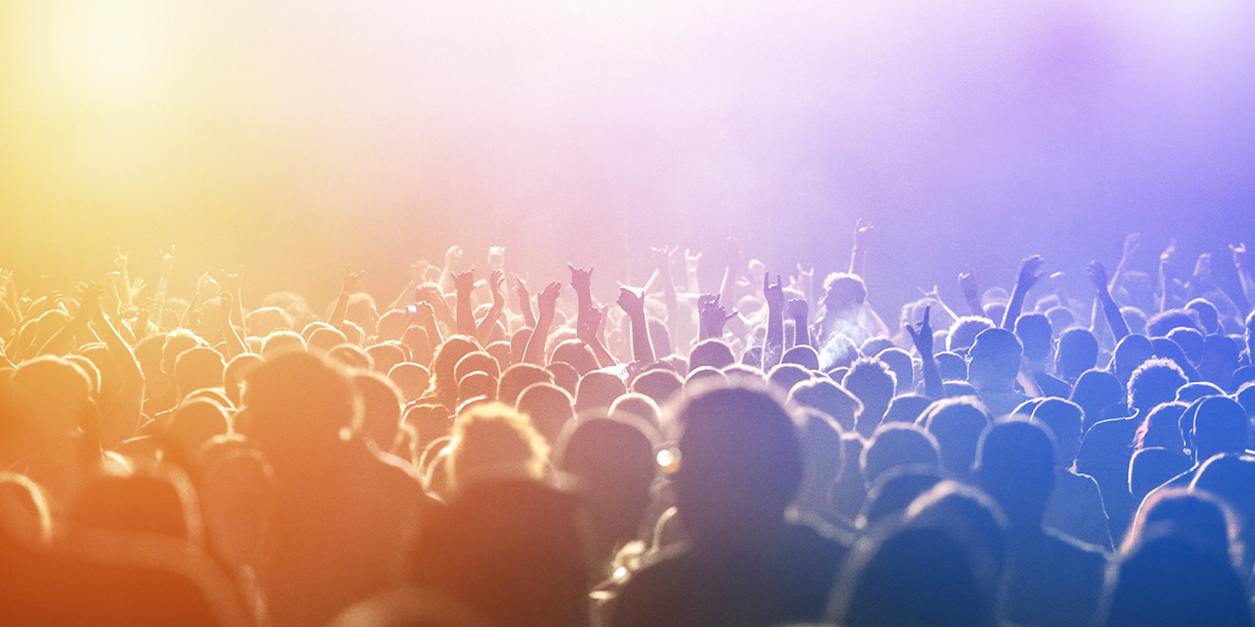 image of a crowd at an event