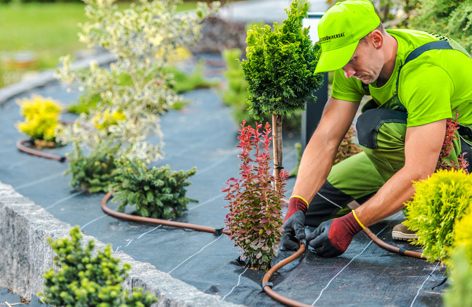 Canyon Landscaping Utah