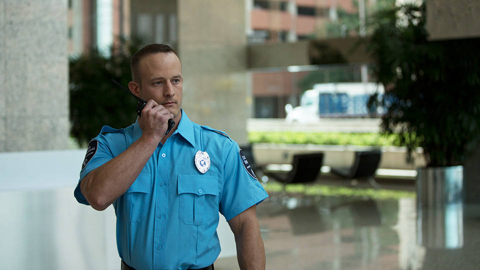 government security officer