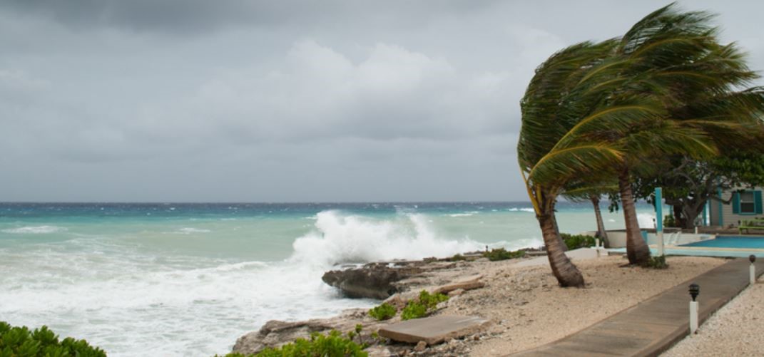 Natural disaster webinar banner