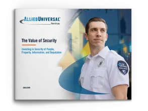 values_of_security_ebook_cover