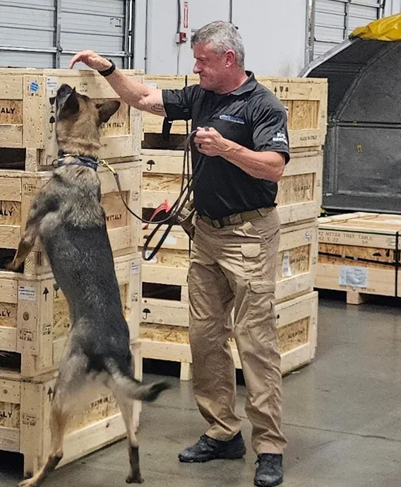 Man training a dog