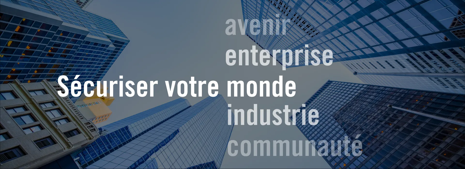 Banner image- French