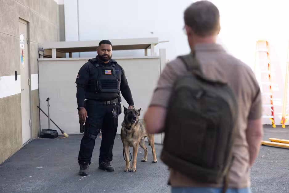 Canine with a handler
