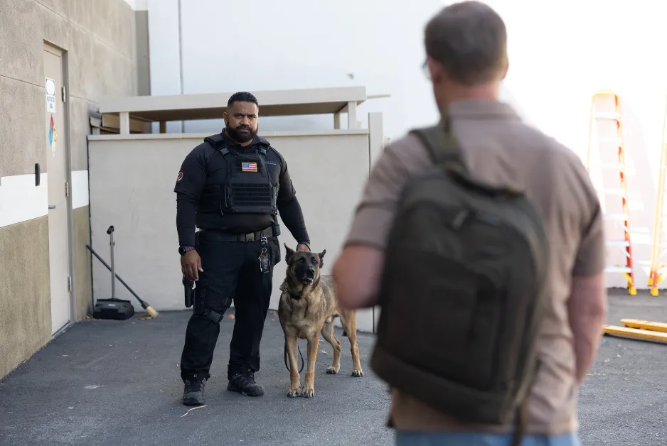 Canine with a handler