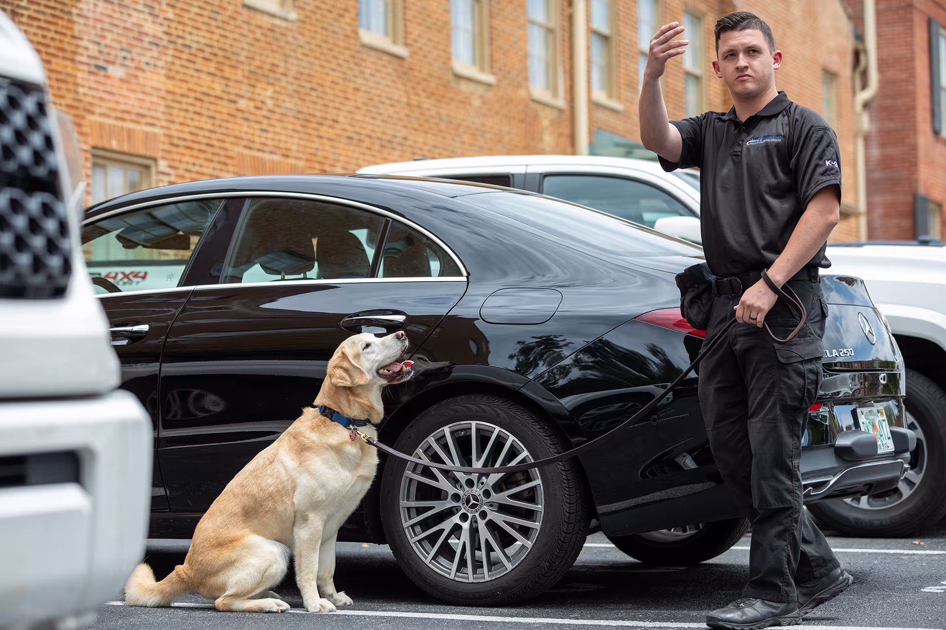 Canine with a handler
