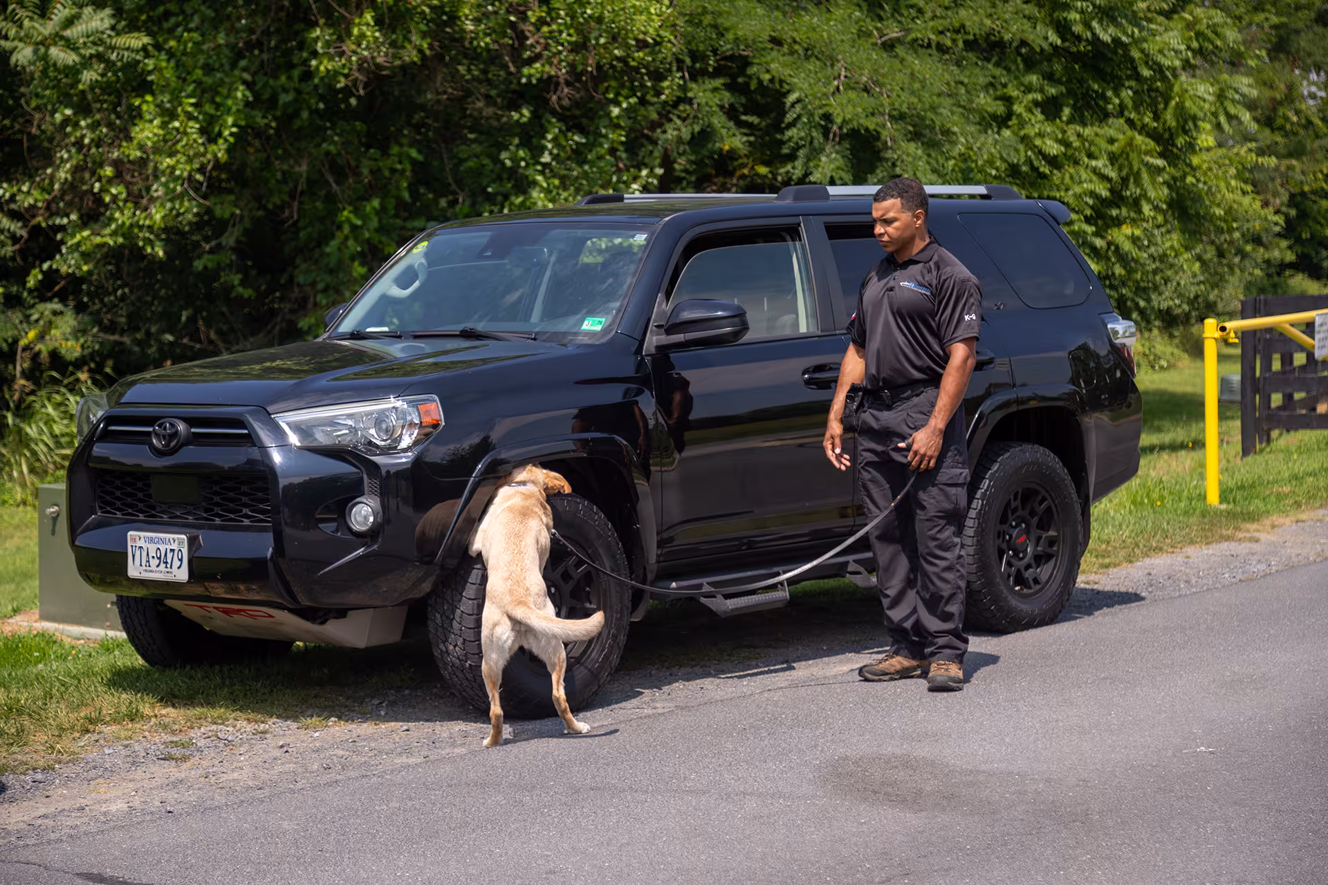 canine with handler